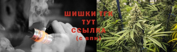 амф Богородицк