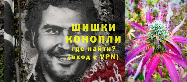 амф Богородицк