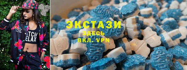 первитин Богданович