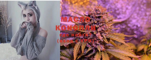 первитин Богданович