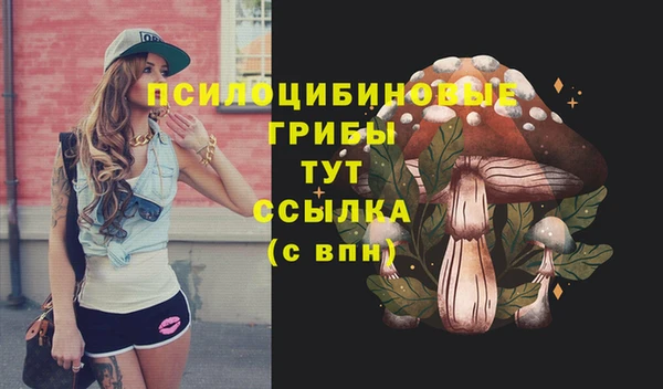 амф Богородицк