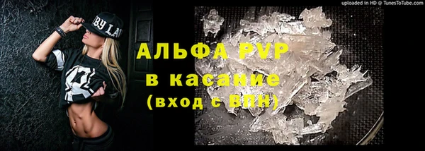 первитин Богданович