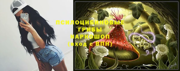 эйфоретик Богородск