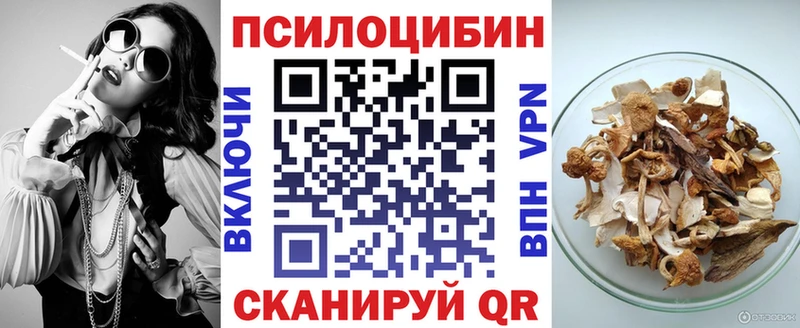 Купить закладки  Пыть-Ях  Псилоцибиновые грибы Cubensis 