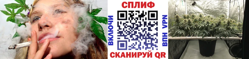 Купить закладки Пыть-Ях Марихуана THC 21%